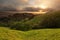 Foggy California Meadow Sunset