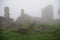 Foggy Castle Ruin / Frankenbourg Castle Ruin