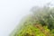 Foggy clouds cover hikers team on top of green mountain ridge