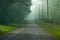 Foggy country road in Texas