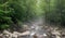 Foggy creek panorama smoky mountains national park