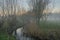 Foggy Creek with pollarded willows in the Flemish countryside