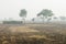 Foggy cultivated plowed fields