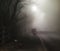 Foggy dark creepy Road uk