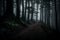 Foggy dark forest with a black slope