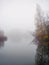 Foggy dawn, autumn forest in mystic fog in the morning, lake at dawn with clouds reflected in the calm water, thick