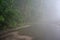 A foggy dawn, a misty morning, a landscape with a road and trees