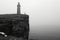 A foggy day captured in black and white, featuring a lighthouse standing tall, An old lighthouse standing as a solitary sentinel