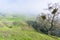 Foggy day on the hills of Sierra Vista Open Space Preserve, south San Francisco bay, California