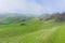 Foggy day on the hills of Sierra Vista Open Space Preserve, south San Francisco bay, California