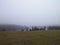 Foggy day in Krzeszna, Ostrzyckie lake and Wiezyca hills Poland