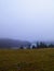 Foggy day in Krzeszna, Ostrzyckie lake and Wiezyca hills Poland