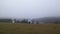 Foggy day in Krzeszna, Ostrzyckie lake and Wiezyca hills Poland