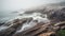 a foggy day at a rocky beach with waves crashing on the rocks