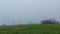Foggy day. Tree silhouettes. Agricultural landscape. Cultivated field.