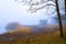 Foggy Dirt Road Beautiful Scene Misty dusk beech .Autumn landscape scenic view Atmospheric blue spooky Path orange foliage in