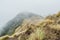Foggy and edgy landscape at Mardi Himal trek at Himalaya mountains