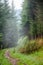 Foggy footpath at Loch Lomond and The Trossachs National Park Ar