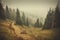 a foggy forest filled with lots of tall trees and a trail leading through the grass and dirt to the top of a hill with a few