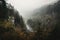 foggy forest with misty waterfall and view of the valley below