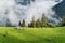 Foggy forest in the mountains. Landscape with field and mist. Landscape after rain. House on the field. A view for the background.