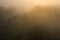 Foggy forest in sunlight aerial view. Misty Forest nature landscape at sunrise top view