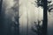 Foggy forest tree detail