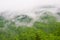 Foggy forest view of Seorak-san National Park