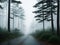Foggy forests Incorporate elements of the city or landscape made with generative ai