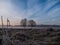 Foggy frozen field with two trees