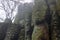 Foggy giant basalt organ pipes at Szent Gyorgy hill