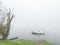 Foggy and gloomy autumn scene of boats moored along riverbank.