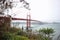 Foggy Golden Gate Bridge in San Francisco view through plants