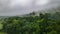 Foggy hillside evergreen forest - layered pines in front of and behind fog