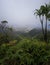 Foggy Honolulu Views from Mount Olympus, Oahu