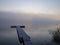Foggy lake in the sunlight, completely blurred background, fog picture, fisherman`s footbridge in the foreground