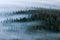 Foggy landscape. Foggy valley of Sumava national park. Detail of forest, Boubin mountain of Czech Republic.