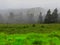 Foggy Landscape in Harghita mountains