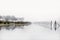 Foggy landscape in Marshes of DoÃ±ana National Park. Huelva, Spain. Wood in water.