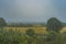 Foggy landscape near Baltic sea in Swedish island Gotland. Photo of scandinavian nature.