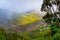 Foggy landscape on Paul da Serra plateau, Madeira, Portugal