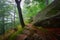 A foggy landscape of stairs from hellish Valley to Chojnik Castle in the Karkonosze Mountains. Poland