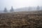 Foggy landscape, Strazov hill, Strazov Mountains, Slovakia