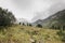 A foggy landscape, a view of the cliffs, the forest, Ergaki mountains