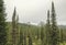 A foggy landscape, a view of the cliffs, the forest, Ergaki mountains