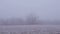 Foggy Landscape Zoom Out