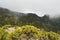 The foggy landscapes in the Aberdare Ranges on the flanks of Mount Kenya