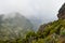 The foggy landscapes of Elephant Hill, Aberdare Ranges, Kenya