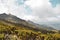 The foggy landscapes of Elephant Hill, Kenya