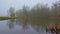 Foggy marshland landscape with bare trees reflecting in the water